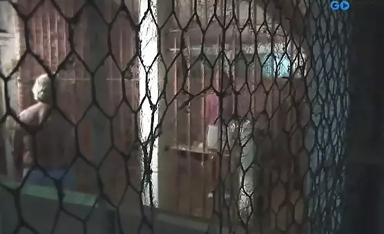 Blowjob with an AgeMature Man